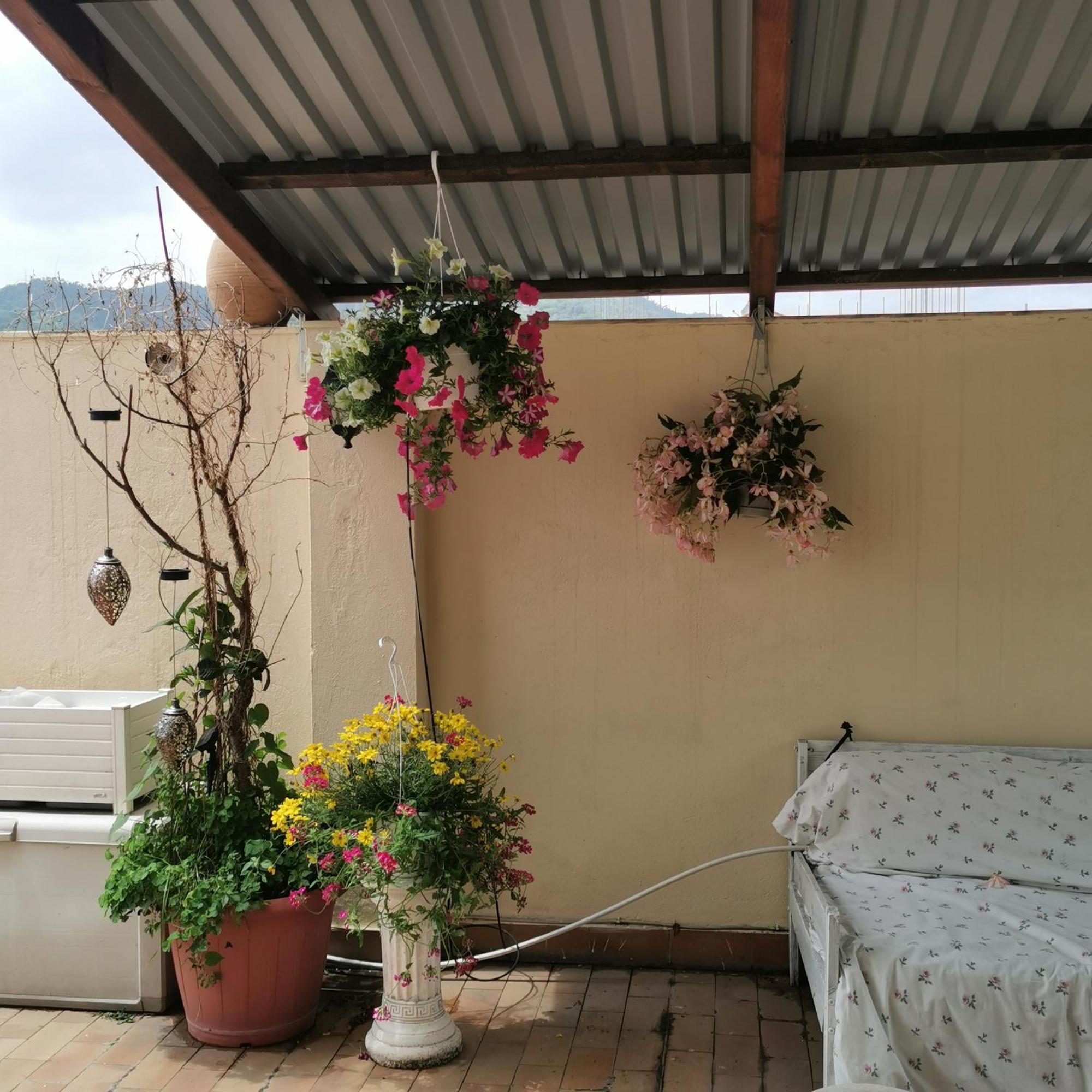 Albisola Bed And Breakfast Albisola Superiore Buitenkant foto